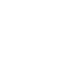 CMSA seal white